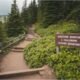 Hiking Lodestone Mountain: A Challenging Outdoor Adventure