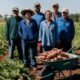 How Far Did Sweet Potatoes Travel to Texas