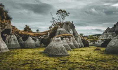 Karsty Takaka: Exploring New Zealand's Unique Karst Landscapes