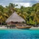 Pele Paradise: Exploring a Hidden Tropical Gem