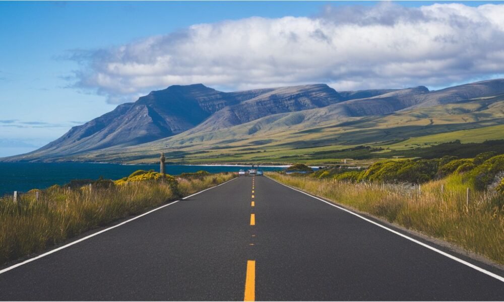 Road Tripping the Catlins: A Journey Through New Zealand’s Coastal Wonderland