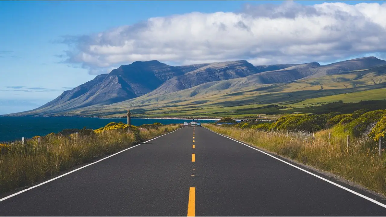 Road Tripping the Catlins: A Journey Through New Zealand’s Coastal Wonderland