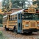 School Bus Conversions A Creative Path to Tiny Home Living