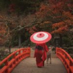 Discover How Chinese and Japanese Translation Services Enhance Solo Travel