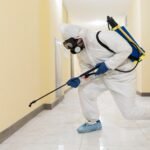 Signs You Need a Pest Control Service ASAP