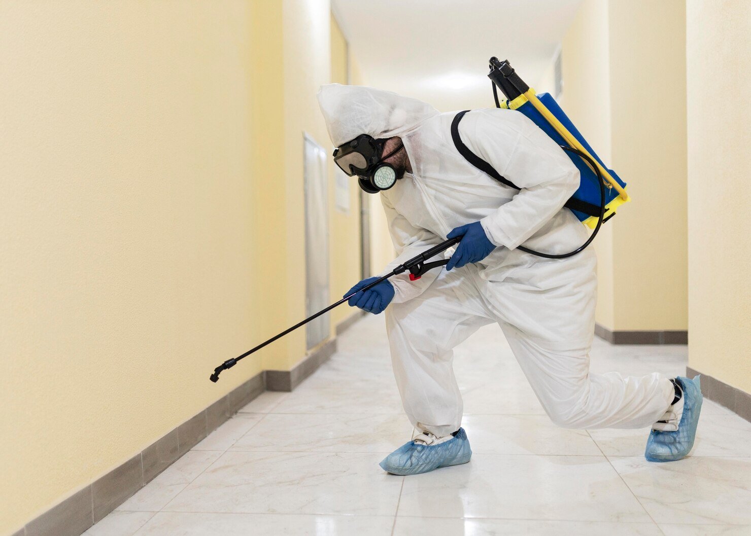 Pest Control Service