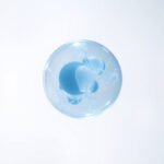 SH-SY5Y Cells: How They Help Us Understand Brain Diseases