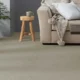 Carpet Brands