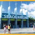 Explore Marine Magic: A Family Day at Miami Seaquarium