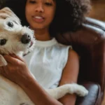 Everything You Need to Know Before Bringing Home a Loyal Guardian