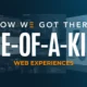 One-of-a-Kind Websites