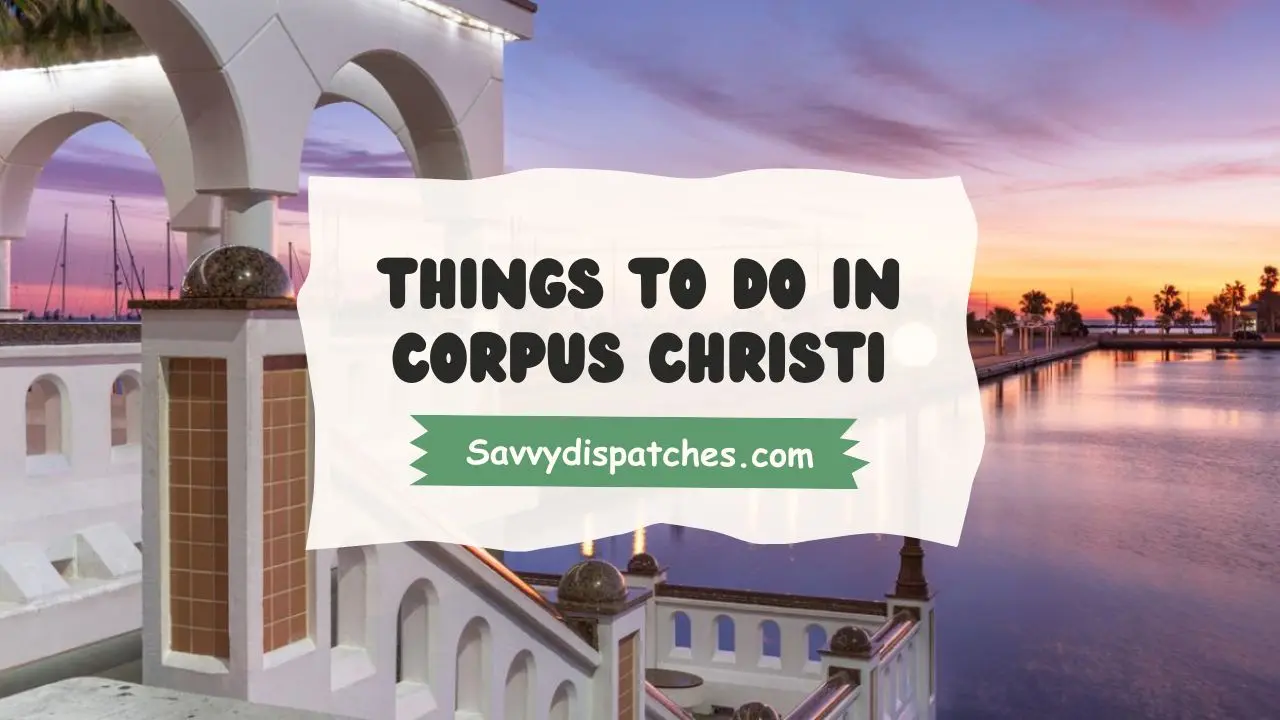 Things to Do in Corpus Christi
