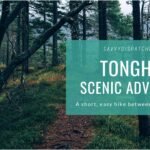 Tonghou Traversing Trail: Short, Scenic Adventure Between Wulai and Yilan