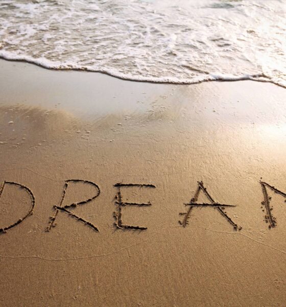Are Your Dreams Trying to Tell You Something? Ask a Dream Psychic