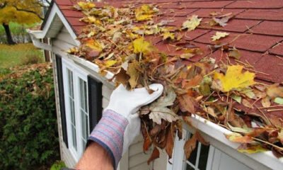 Fall Season