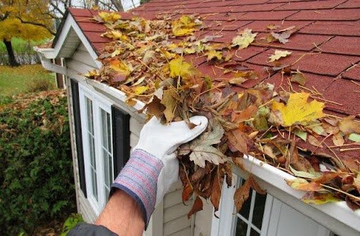 Fall Season