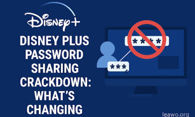 Disney Plus Password Sharing Crackdown