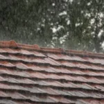 Roof Cleaning and Storm Preparedness: Protecting Your Home Before the Weather Hits