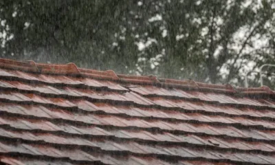 Roof Cleaning and Storm Preparedness