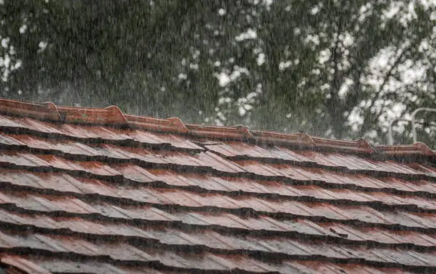 Roof Cleaning and Storm Preparedness