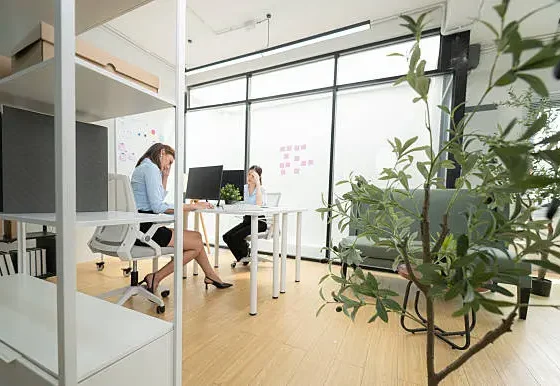 Commercial Office Fitouts