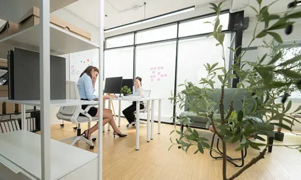 Commercial Office Fitouts