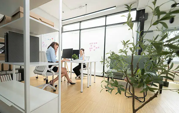 Commercial Office Fitouts