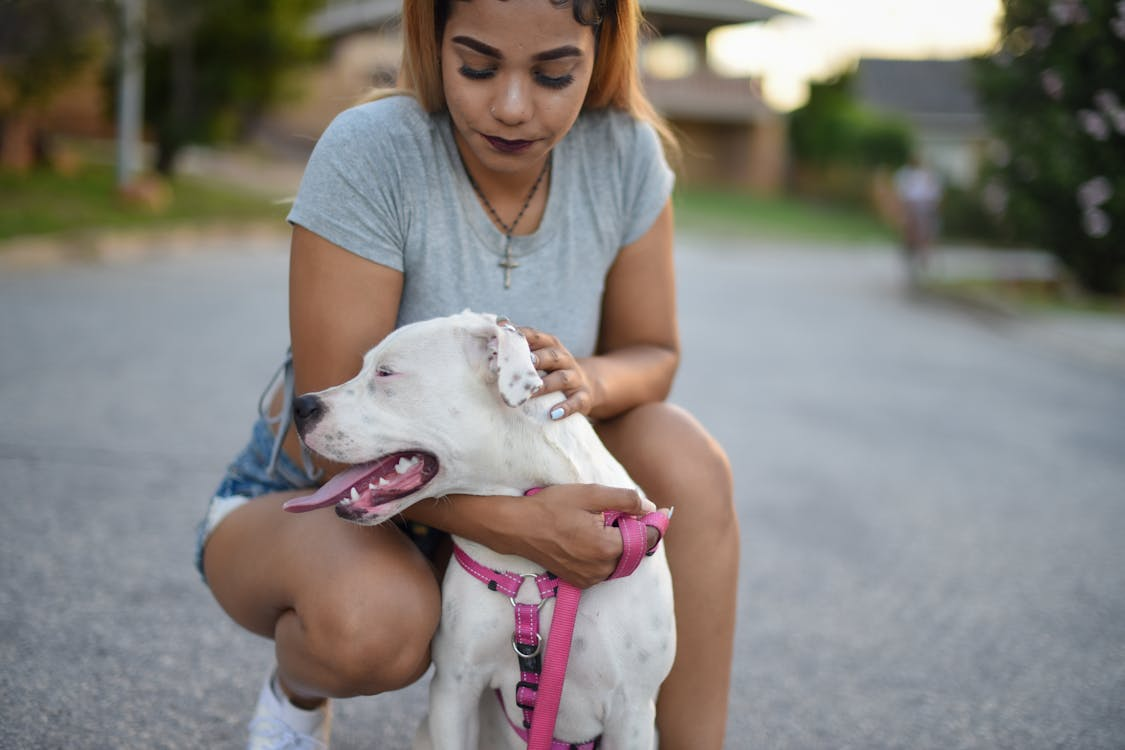 Pets Often