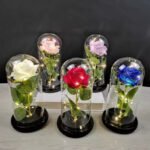Trends in the Preserved Roses Wholesale Market
