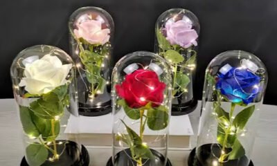 Preserved Roses Wholesale Market