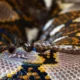 Python Frameworks