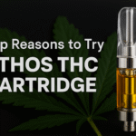 Top Reasons to Try the Ethos THC Cartridge Today