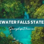 Blackwater Falls State Park: A Hidden Gem in West Virginia