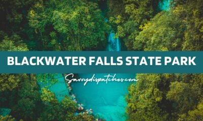 Blackwater Falls State Park