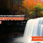 Deckertown Falls: A Hidden Gem in Nature’s Embrace