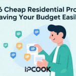 Top 6 Cheap Residential Proxies: Saving Your Budget Easily