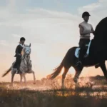 Why Horse Riding Holidays Are Making a Comeback