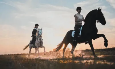 Why Horse Riding Holidays Are Making a Comeback