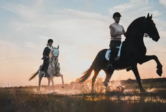 Why Horse Riding Holidays Are Making a Comeback