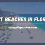 Top 10 Best Beaches in Florida You Need to See