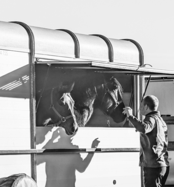 Dispatching Live Cargo