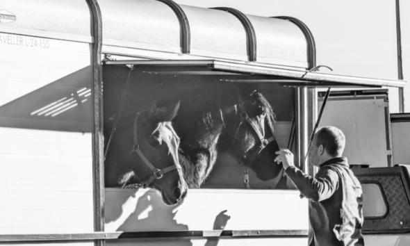 Dispatching Live Cargo