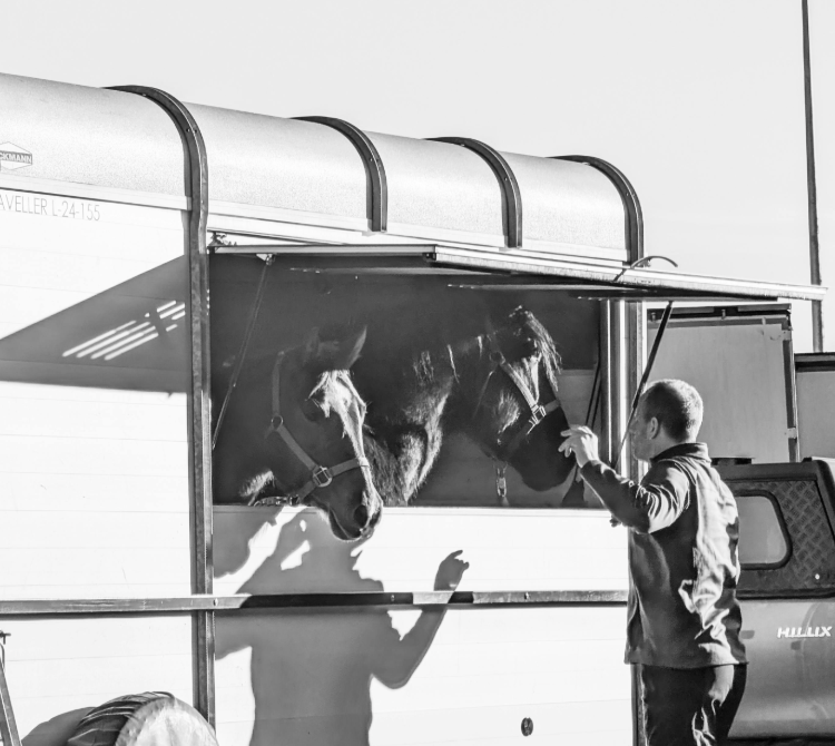 Dispatching Live Cargo