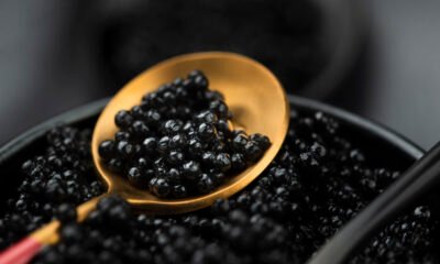 The Complete Guide to Black Caviar: Understanding Quality, Origin & Flavor Profiles