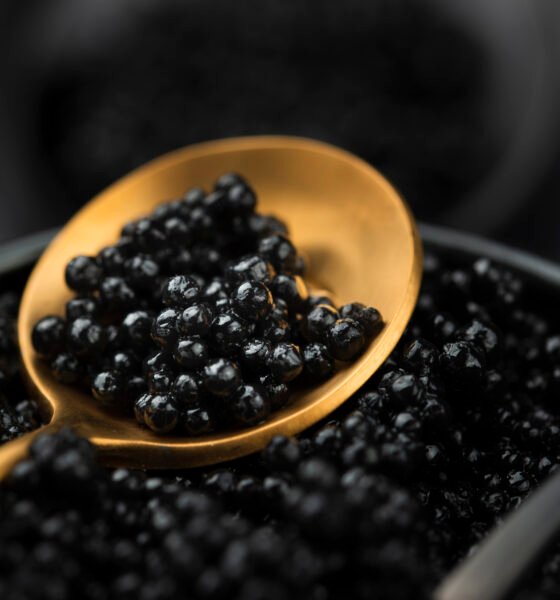The Complete Guide to Black Caviar: Understanding Quality, Origin & Flavor Profiles