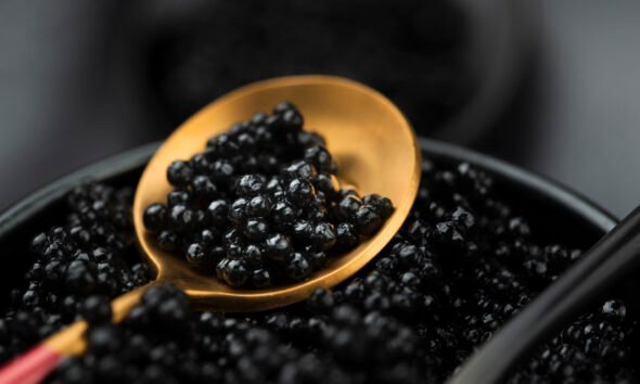 The Complete Guide to Black Caviar: Understanding Quality, Origin & Flavor Profiles