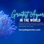 The Greatest Aquariums in the World: Global Travel Guide
