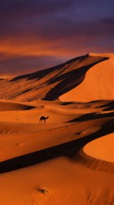 Sand Dunes at Dusk Travel Aesthetic