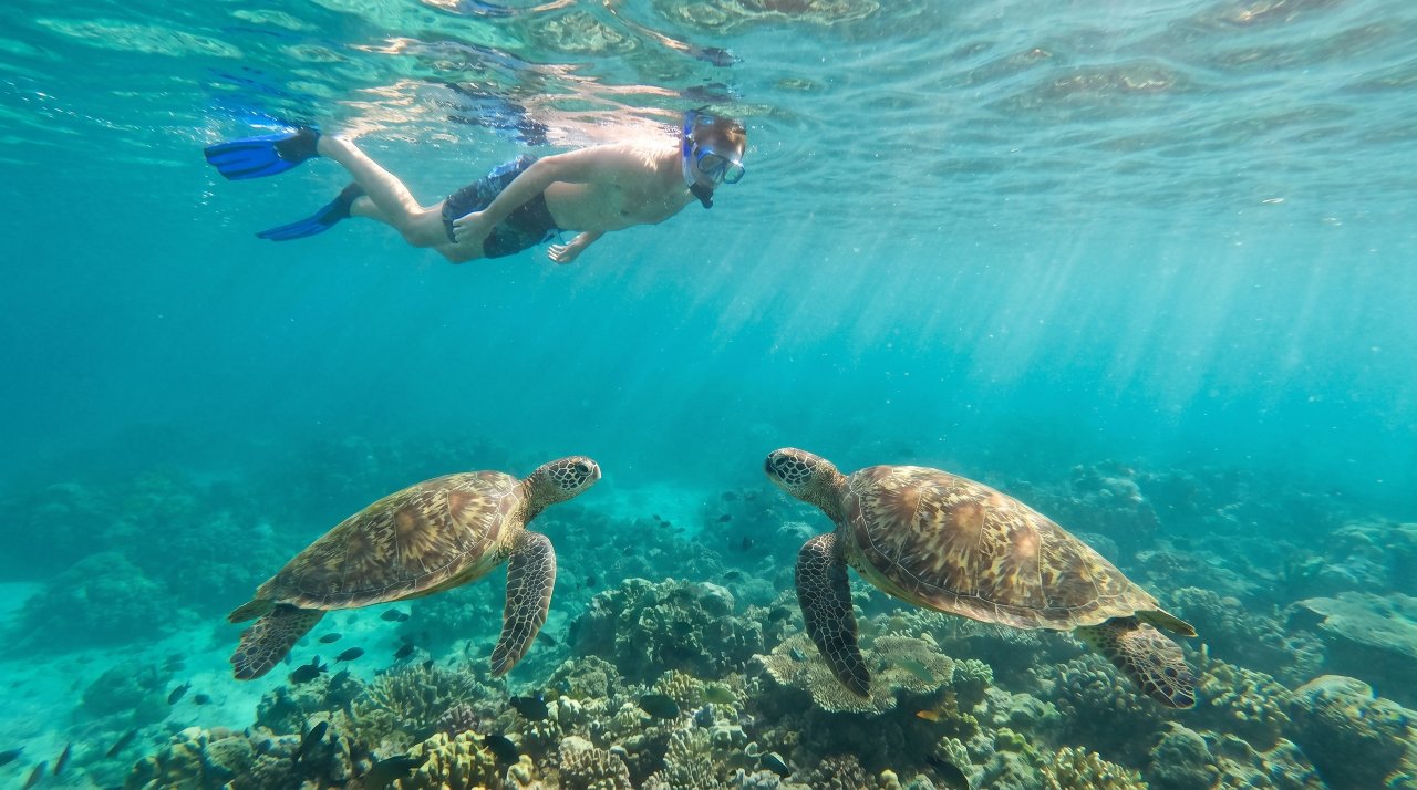Things to Do in Maui Hawaii